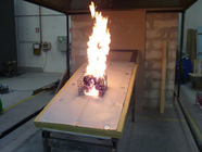 ASTM E108 سقف تجهیزات تست آتش سوزی مواجهه خارجی برای سوزاندن چوب